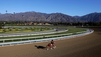 Next Story Image: Feinstein joins call for Santa Anita to suspend racing